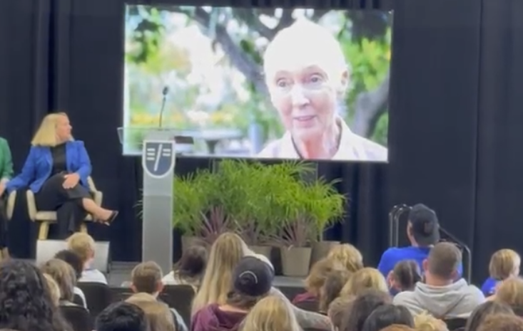 Students and staff at EF Academy in Pasadena watch a video message by Dr. Jane Goodall. Dr. Goodall was supposed to speak at the school when it was announced she'd passed away. 