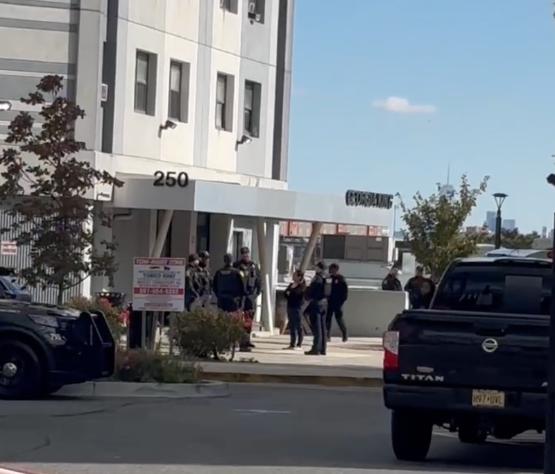 Police respond to a report of wild monkeys in Newark on Thursday