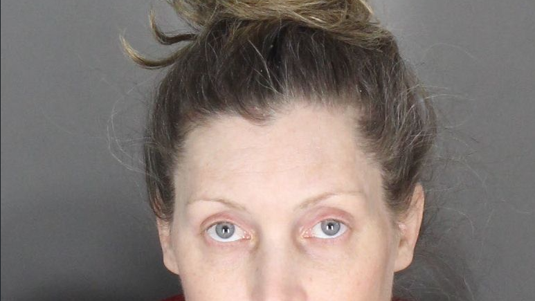 Auburn Hills woman arrested for stealing purses from shopping carts at Kroger and Meijer in Rochester Hills