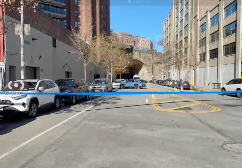 A 55-year-old man was shot to death in a car in the Bronx on New Year's Day, police said.