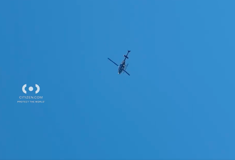 An 11-year-old boy was rescued from a pond in Springfield Park on Friday.