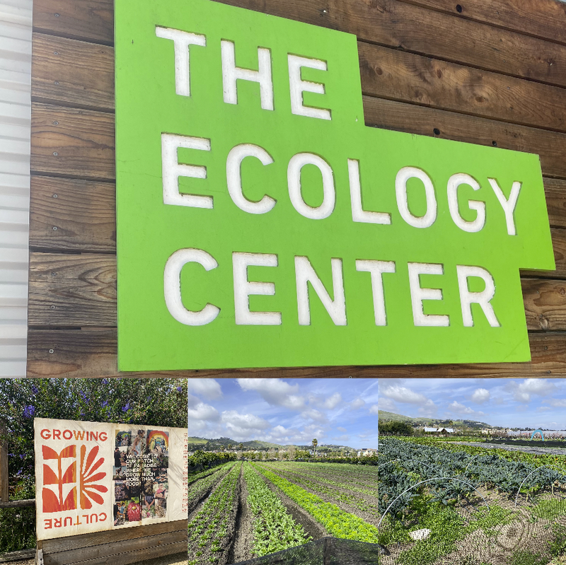 The Ecology CEnter