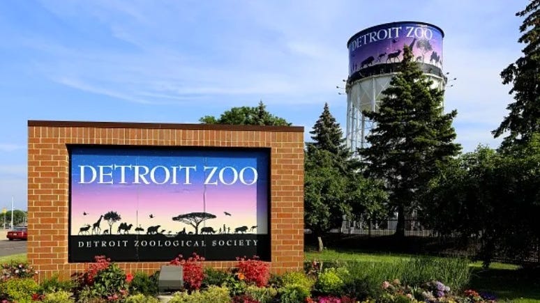 Oldest tiger at Detroit Zoo dies during veterinary procedure