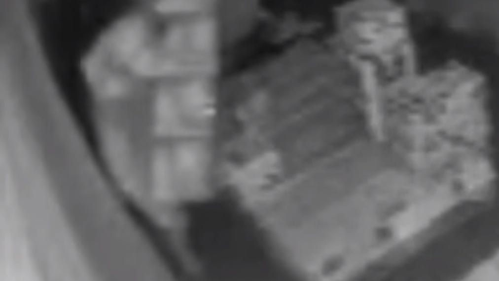 Suspect steals $25K worth of fireworks from family-owned business in Sterling Heights
