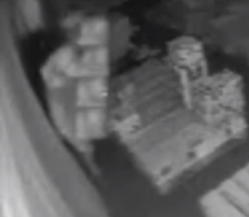 Surveillance footage of person stealing fireworks