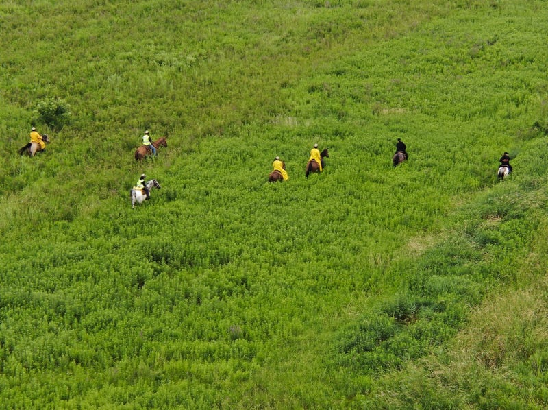 Mounted unit searching