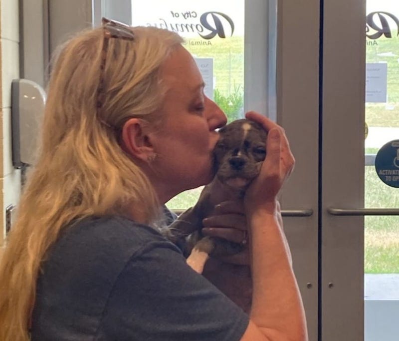 Woman kissing French bulldog puppy