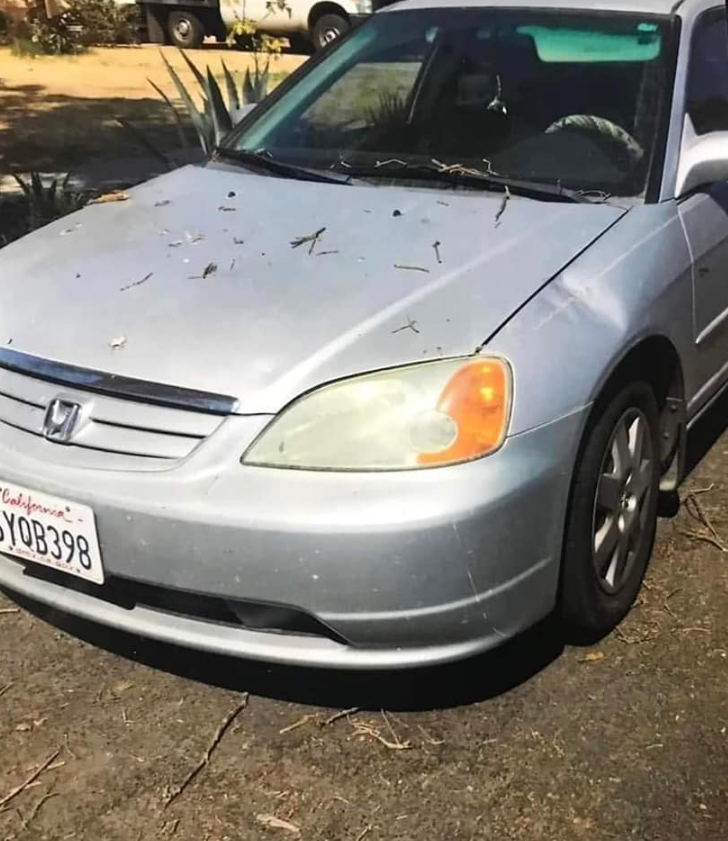 An undated photo of Tomlinson's 2002 Honda Civic.