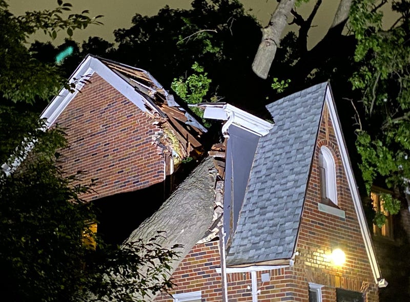 Tree goes through roof of house