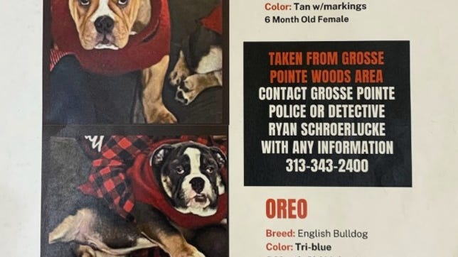 Grosse Pointe Woods Police search for 2 English Bulldogs taken from front yard
