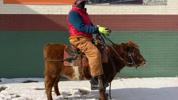 Meet urban cowboy Will – the man caught in viral video riding cow in Detroit