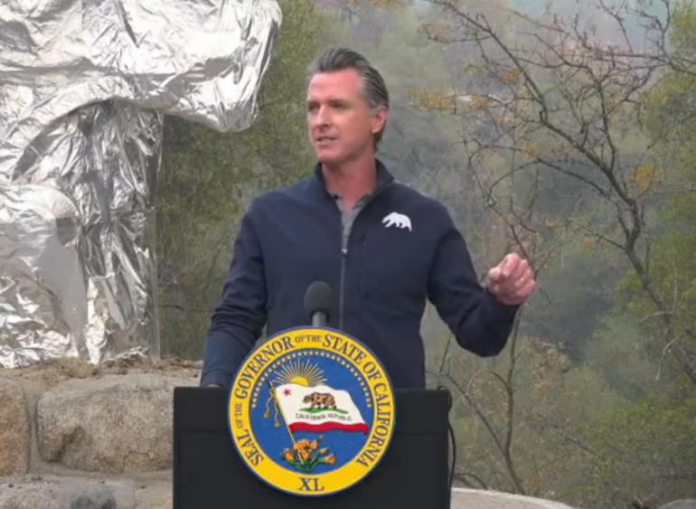 Gov. Gavin Newsom signed a $15 billion bill for wildfire prevention at Sequoia National Park.