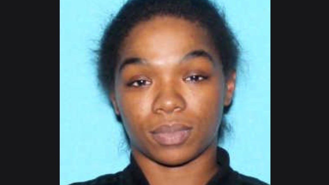 Police looking for suspect who ran over, killed Detroit woman trying to save child