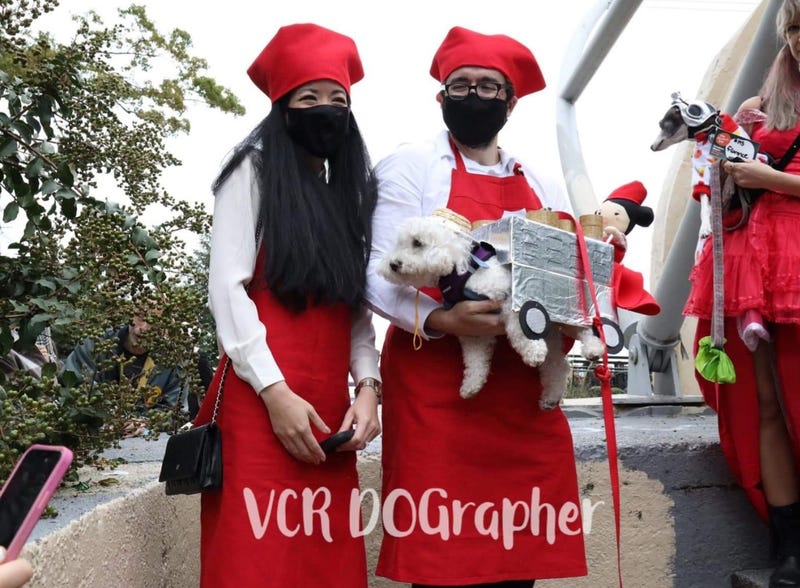 1010 WINS' Susan Richard with Bark Obama at the 31st Annual Tompkins Square Halloween Dog Parade
