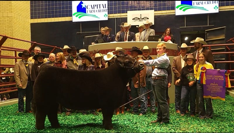Grand Champion steer sells for record amount at Fort Worth Stock Show and Rodeo