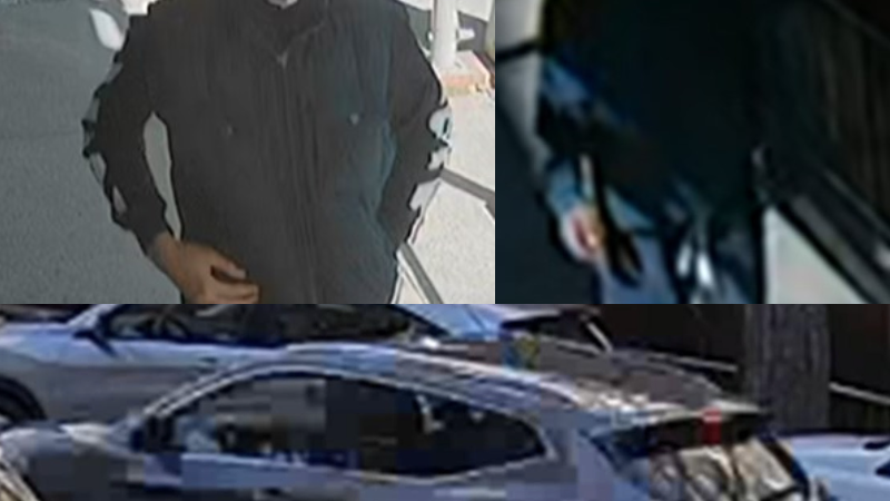 Sucker-punched man, 78, among victims in duo's Queens robbery spree
