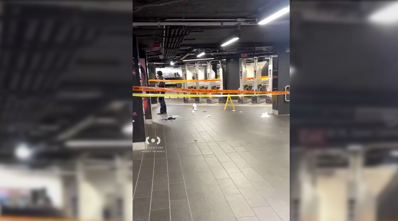 The man who allegedly slashed two people at Grand Central on Christmas Eve is now facing multiple charges.