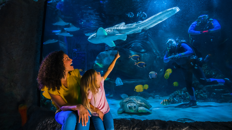 Madre e hija en un acuario