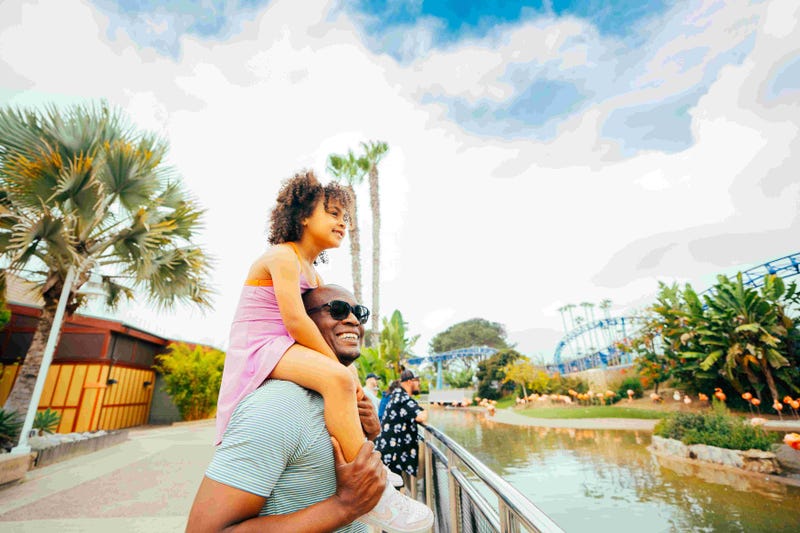 Sea World (Aug 2025)