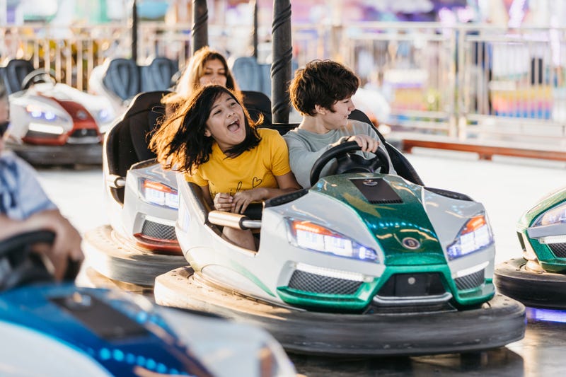 Minnesota State Fair, Midway, Processing Challenges, Autism