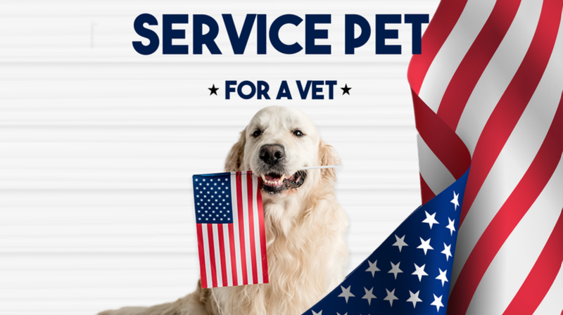 Service Pet For A Vet 2023!