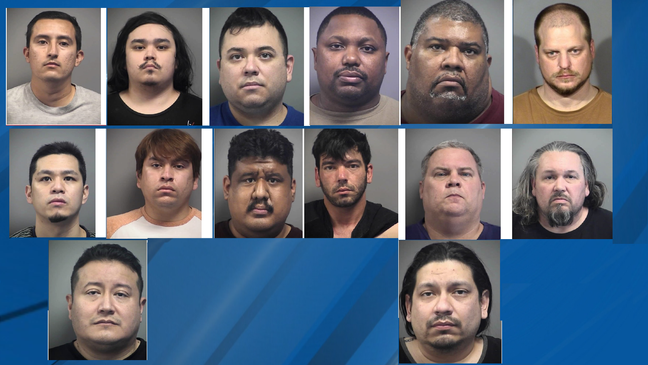 Mug shots of alleged sex predators
