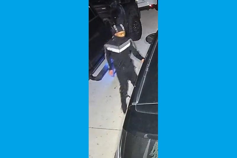 Shaler Township theft suspect