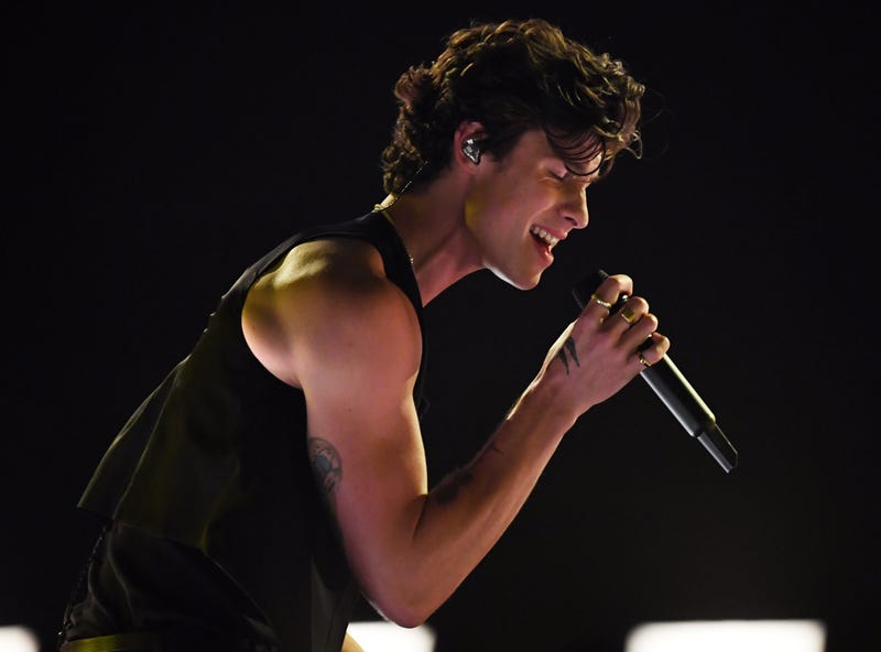 Shawn Mendes