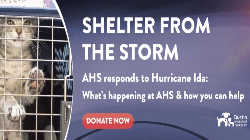 Shelter from the Storm @ AHS 9/1/21