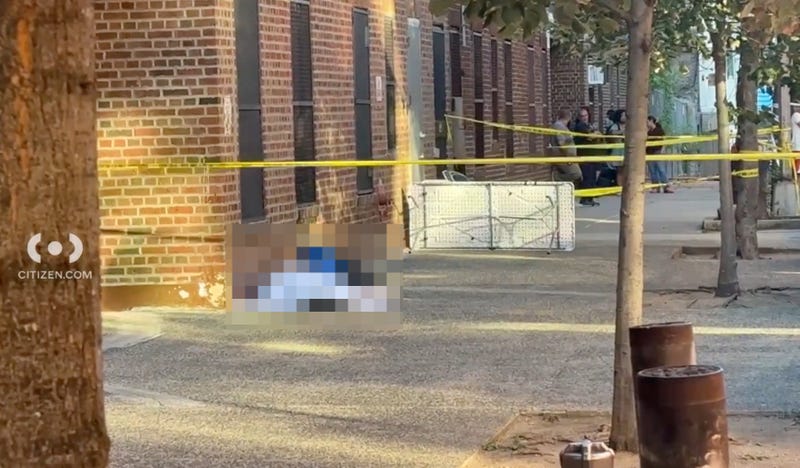 The victim's body was seen lying outside the building where lived on Belmont Avenue on Thursday evening