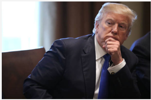 Should trump move forward with lawsuits?