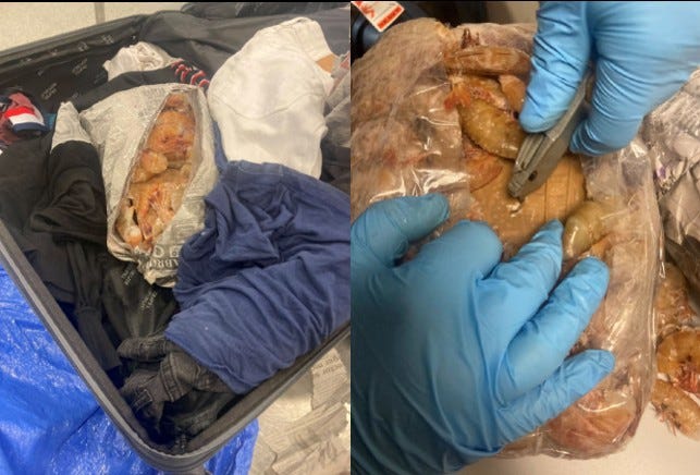 Images provided by the DOJ in the criminal complaint against Zacharie Scott.