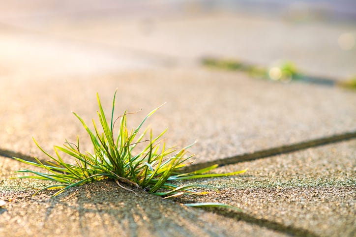 Sidewalk