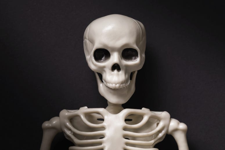 Skeleton