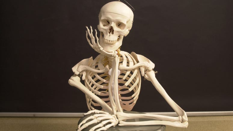 Haltom City police looking for skeleton dressed as Tinkerbell stolen from library