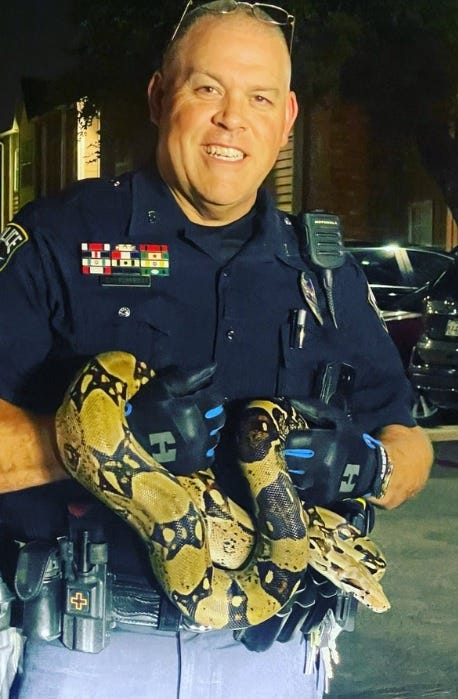 Irving police officer Steve Burres with the snake Ms. Bonnie.