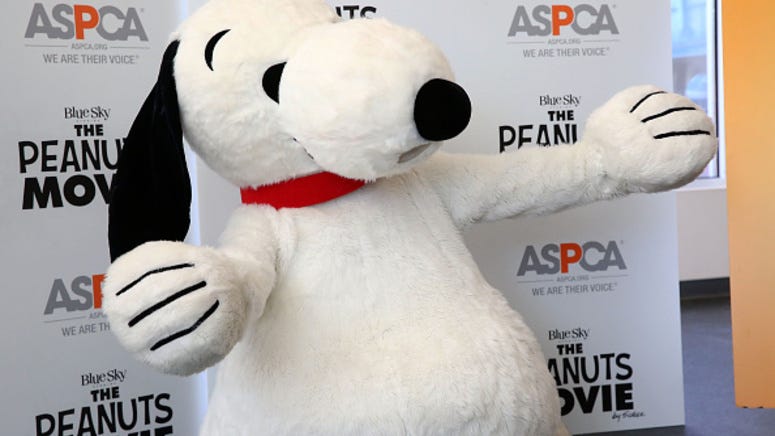 Dog goes viral for looking exactly like Snoopy