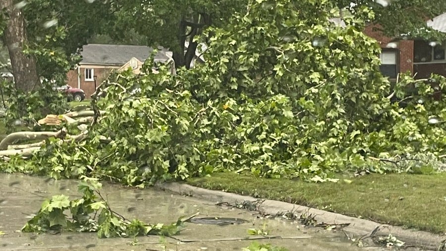 Over 150K lose power as severe thunderstorms strike SE Michigan with winds of up to 80 mph bringing down trees, power lines