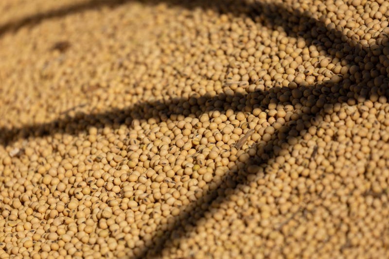 Soybeans