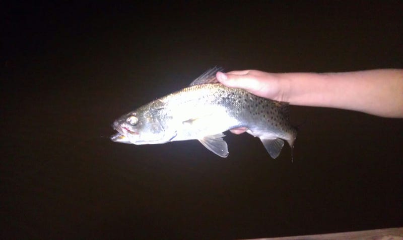 This weekend is free fishing weekend in Louisiana