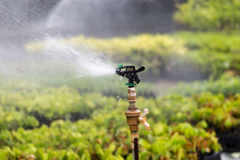 sprinkler