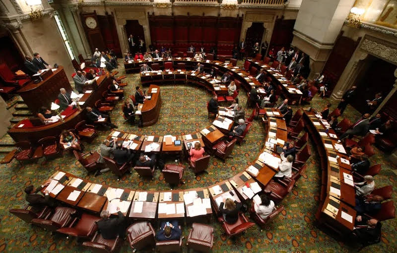 State Legislative chambers, Albany, N.Y.