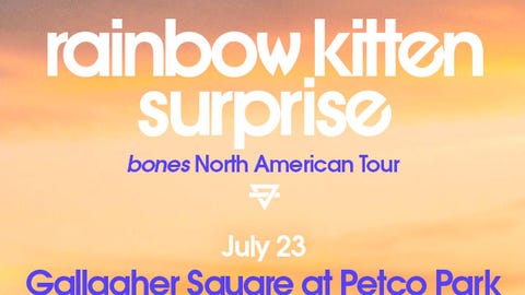 Rainbow Kitten Surprise