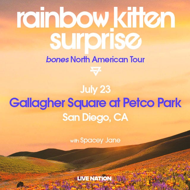 Rainbow Kitten Surprise