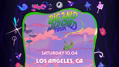 Big Wild