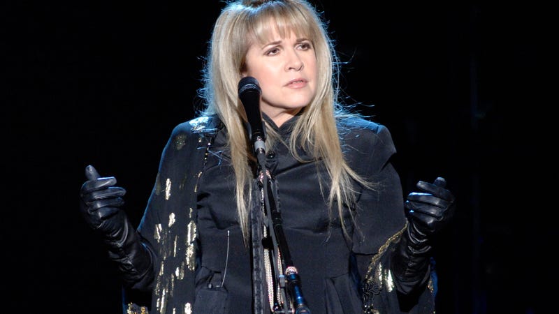 Stevie Nicks