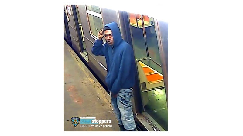 Subway sexual act suspect.