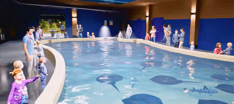 Stingrays and bamboo sharks will call Discovery Trails home. In Stingray Cove, guests will be able to touch and feed stingrays