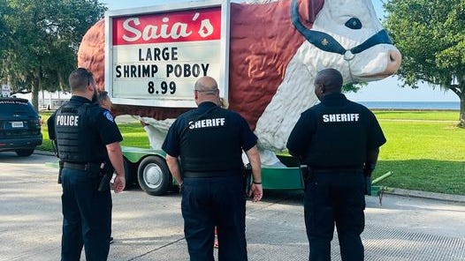 Saia's cow stolen in Mandeville, recovered on lakefront