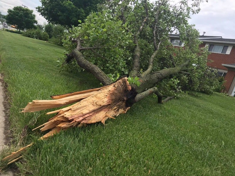 A strong line of storms rocked through Wayne County just before 1 p.m. on Wednesday, causing high winds, widespread power outages and witness reports of trees down and debris on roadways.